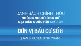 Đơn vị bầu cử số 8 (quận 6, huyện Bình Chánh)