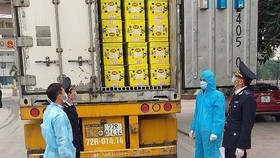 The customs force in Ho Chi Minh City is checking imports and exports while observing Covid-19 prevention and control measures. (Photo: haiquanhochiminh.gov.vn)