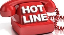 Hotline to report online scams