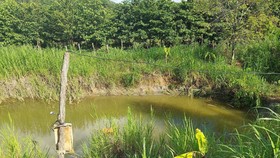 Gia Lai: 2 mẹ con đuối nước tử vong