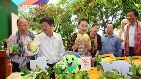 Modern co-ops continue to thrive in Vietnam