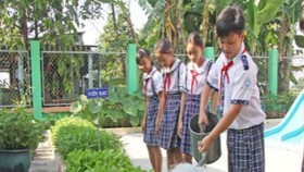 Giai đoạn 2008-2020 xây dựng mô hình trường học xanh