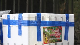 Người dân Đà Nẵng hỗ trợ tiêu thụ hàng chục tấn vải Bắc Giang