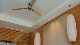 Các cơ sở được hoạt động kèm các điều kiện đảm bảo phòng chống dịch