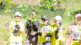 Nhân viên một doanh nghiệp ở TPHCM nhận cây giống miễn phí từ chị Phan Diệu Linh