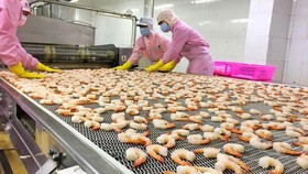 ĐBSCL: Đẩy mạnh xuất khẩu tôm