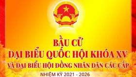 Quyền bầu cử của cử tri có giống nhau không?