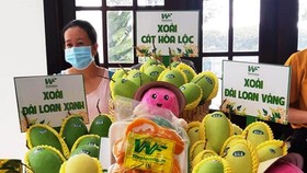 Nhiều diện tích xoài ở Đồng Tháp trồng theo tiêu chuẩn VietGAP có truy xuất nguồn gốc, cấp mã vùng trồng. Ảnh: HUỲNH LỢI