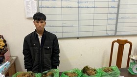 Đối tượng Hồ Văn Nhất và tang vật các vụ trộm sâm tại cơ quan điều tra
