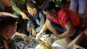 Bắt giữ một đối tượng vận chuyển 11kg ma túy vào TPHCM tiêu thụ