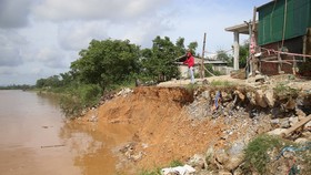 Bờ sông Thạch Hãn đoạn qua thôn thôn Trà Liên Đông, xã Triệu Giang bị sạt lở nghiêm trọng, ăn sâu gần tới nhà của các hộ dân.