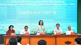 Đồng chí Nguyễn Thị Lệ, Phó Bí thư Thành ủy, Chủ tịch HĐND TPHCM phát biểu tại phiên họp. Ảnh: VIỆT DŨNG