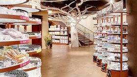 Doanh nghiệp châu Âu kiến nghị tháo gỡ khó khăn