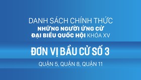 Đơn vị bầu cử số 3 (quận 5, quận 8, quận 11)