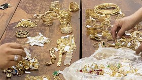 Tang vật thu giữ tại nhà Hoàng