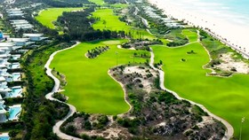 Bí thư Tỉnh ủy Bình Định chỉ đạo: Tạm đình chỉ công tác giám đốc sở chơi golf giữa dịch
