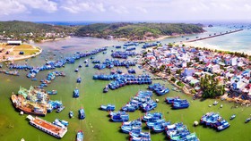 Bình Định: Trên 630ha đất thúc đẩy phát triển các doanh nghiệp nhỏ và vừa