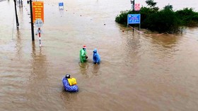 Mưa lũ tàn phá nặng nề ở Bình Định, 1 người bị lũ cuốn trôi