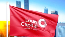 Nhóm CP liên quan đến Louis Capital, như TGG, BBI, APG, AGM, SMT… lần lượt giảm sàn trước làn sóng bán tháo của NĐT phiên sáng nay.