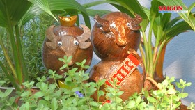 Lạ mắt linh vật trâu dừa bonsai