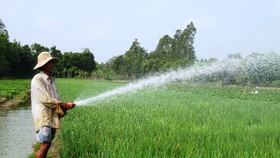 ĐBSCL: Xâm nhập mặn có xu thế giảm, nhưng vẫn ở mức cao