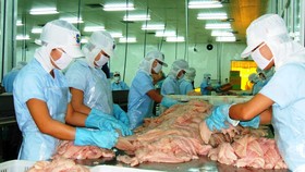 Xuất khẩu cá tra giảm mạnh trong tháng 8 và tháng 9