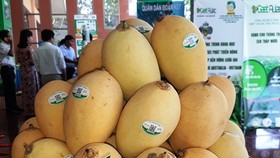Huyện Cao Lãnh huy động 17.000 tỷ đồng xây dựng nông thôn mới