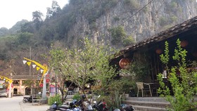 Khách du lịch quốc tế tháng 2 ước đạt gần 11.000 lượt người