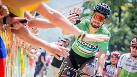 “Ông thần nước rút” Peter Sagan may mắn tập luyện cùng nhóm khác.