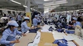 Tháng 7 hàng năm TPHCM sẽ thu thập, lưu trữ, tổng hợp thông tin về thị trường lao động