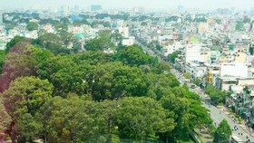 Đất vàng Nhà khách Chính phủ với vườn cây cổ thụ có tuổi đời trên dưới 50 năm và sân vườn trồng các loại hoa, cây cảnh. Ảnh: TBKTSG