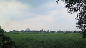 Toàn cảnh dự án