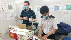 Fresh fruits are checked for residues of plant protection drugs and traced their origin before being exported. (Photo: SGGP)