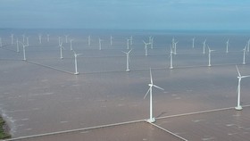 Wind power in Bac Lieu Province. (Photo: SGGP)