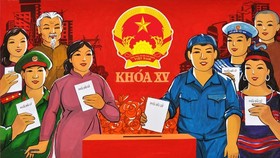 Overseas Vietnamese with only one Vietnamese nationality can run for NA deputies