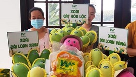 Global market remains potential for Vietnam's mango industry