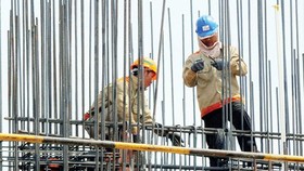 Ministries propose adjusting import tariffs, encourage use of new materials