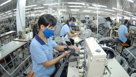Vietnamese enterprises compete from position of weakness