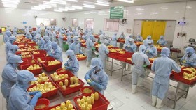 Manufacturing and processing sector playing key role in FDI attraction