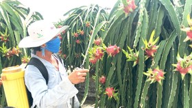 Solutions needed for agricultural products to no longer call for rescue