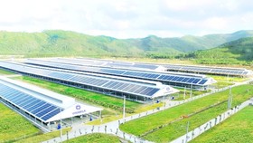 Many enterprises return to domestically-made raw materials