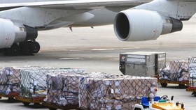CAAV discusses establishment of VN's first cargo airline