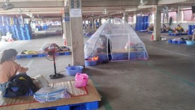 Enterprises need urgent support