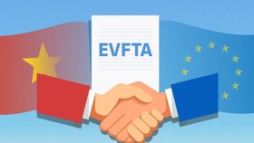 EVFTA fuels Vietnam’s imports from EU