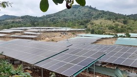 Many rooftop solar power projects camouflage as farms in Central Highlands