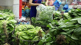 Hanoi: Fresh food prices rise 20-30 percent as some wholesale markets close