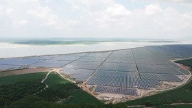 Renewable energy companies thrive on rising demand