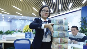 Một số NH công bố lãi lớn nhưng dự báo chung lợi nhuận của hệ thống NH năm nay sẽ tăng trưởng chậm.