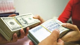 Tăng trưởng tiền gửi khá chậm nhưng thanh khoản của hệ thống vẫn dồi dào nhờ kênh mua ngoại tệ của NHNN