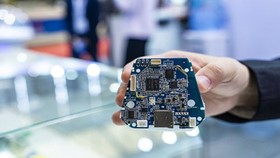 Government and private firms should pay more attention to the long-term development of the semiconductor industry. (Photo: VNA)